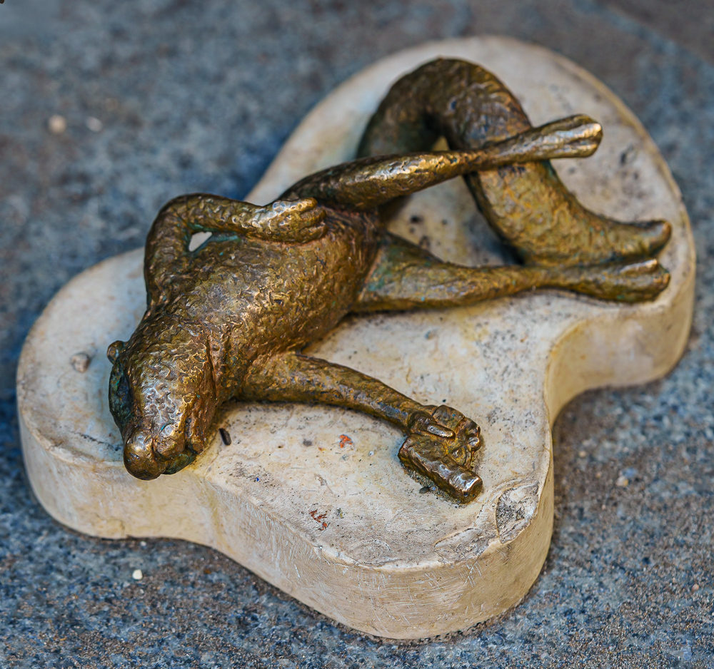 The Dead Squirrel
